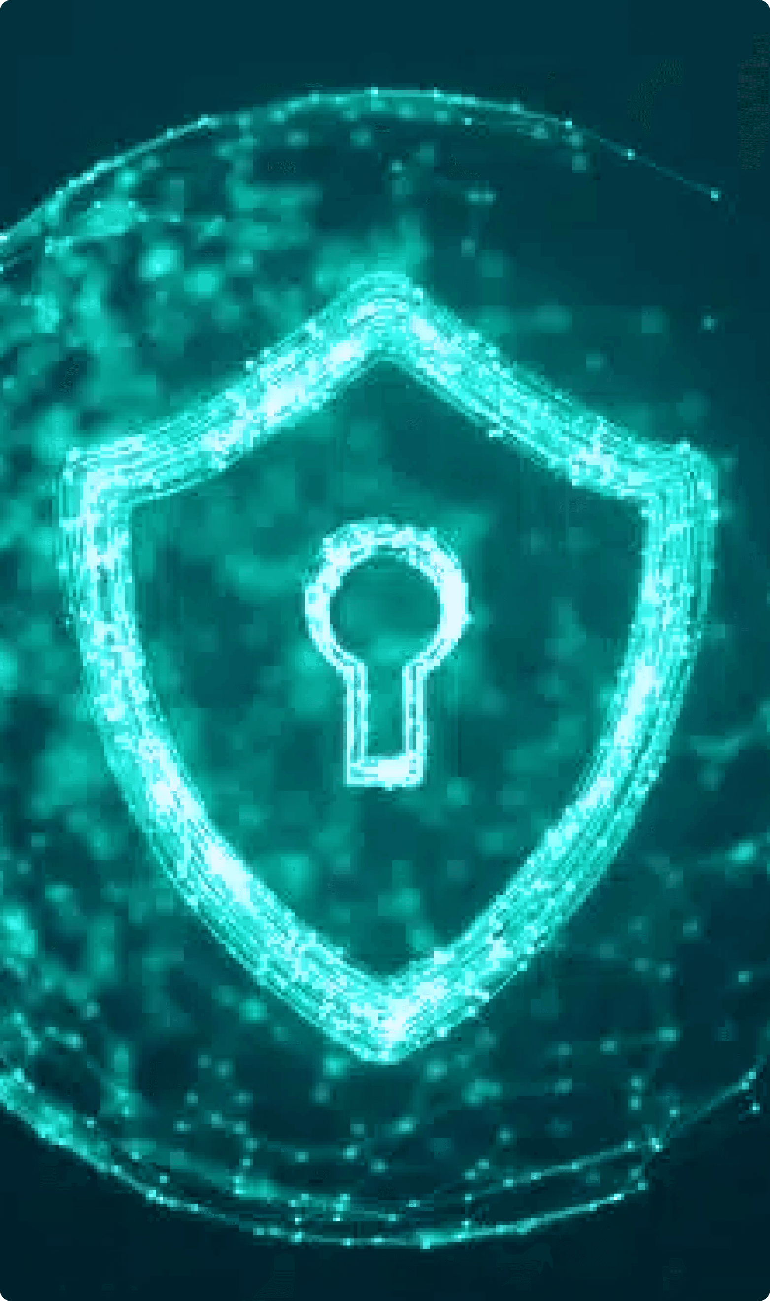 Cybersecurity Shield