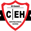 ceh Partner
